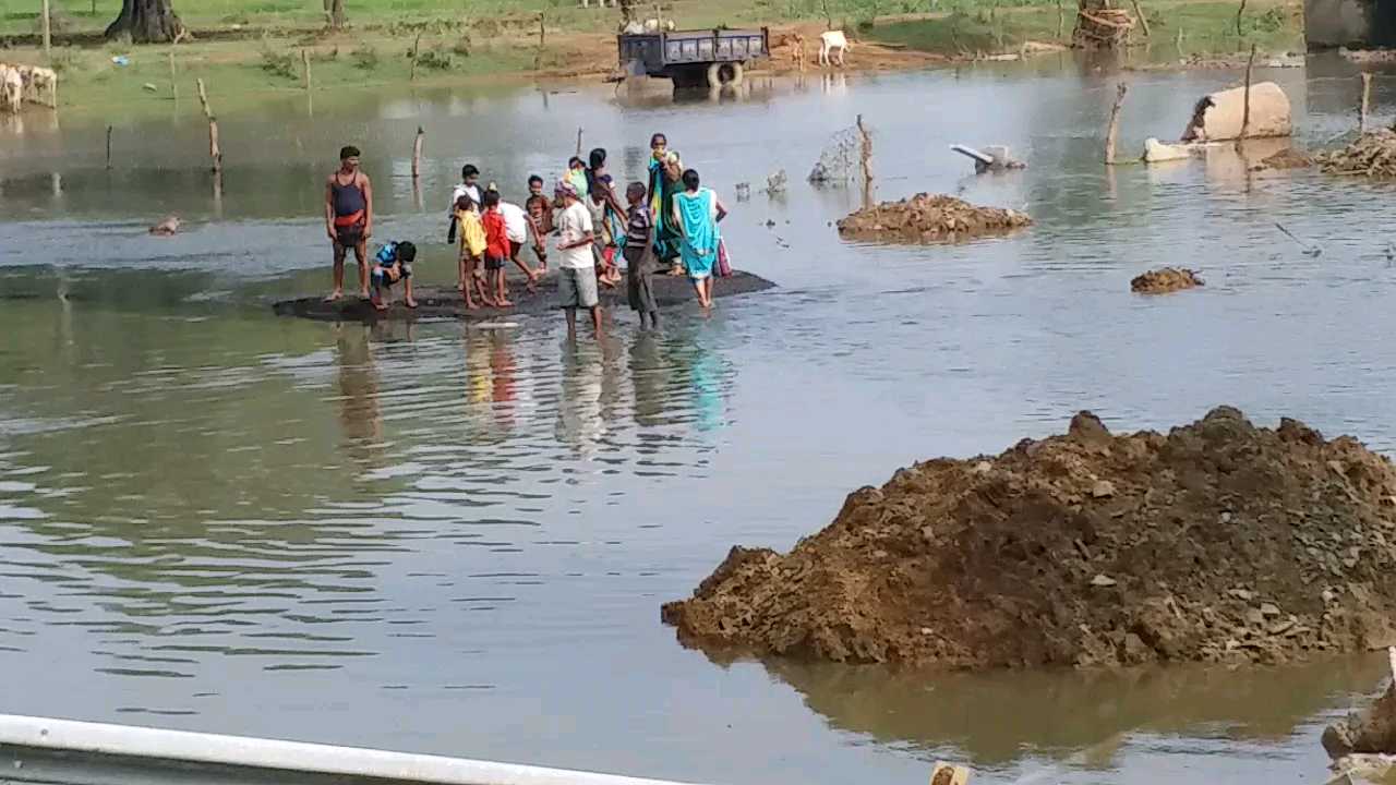 Apprehension of  Paddy crop to be ruined in janjgir champa