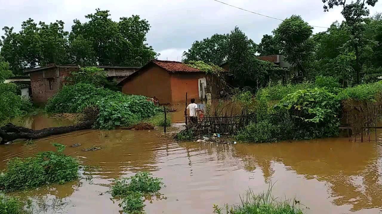 One person died due to floods during rescue operation in Janjgir-Champa