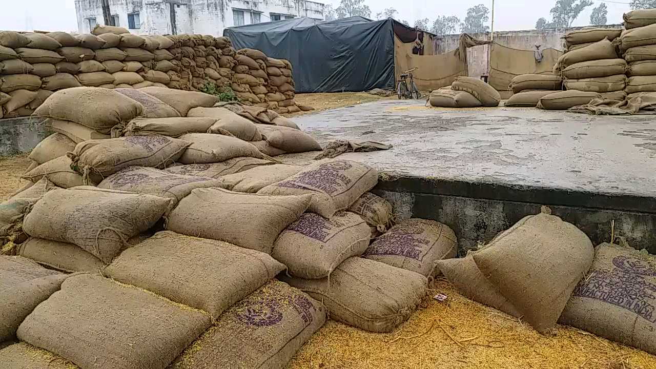 Paddy procurement center paddy got wet due to rain In janjgir