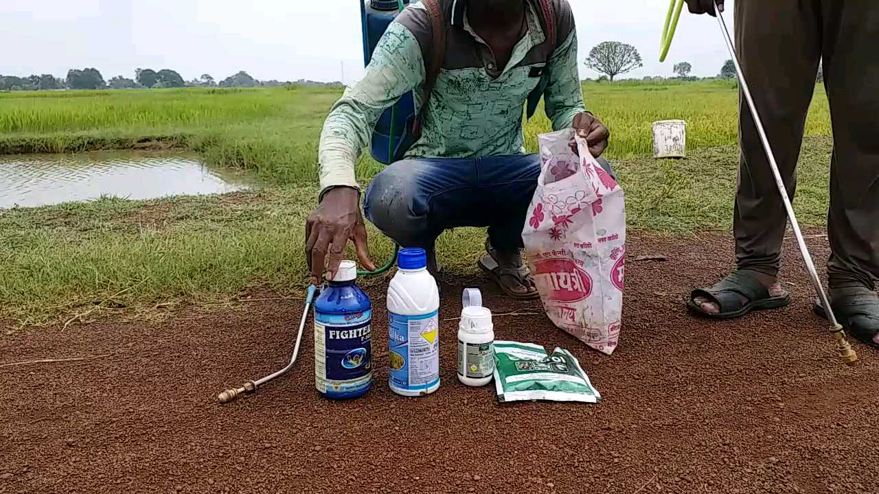 Crop of farmers getting ruined