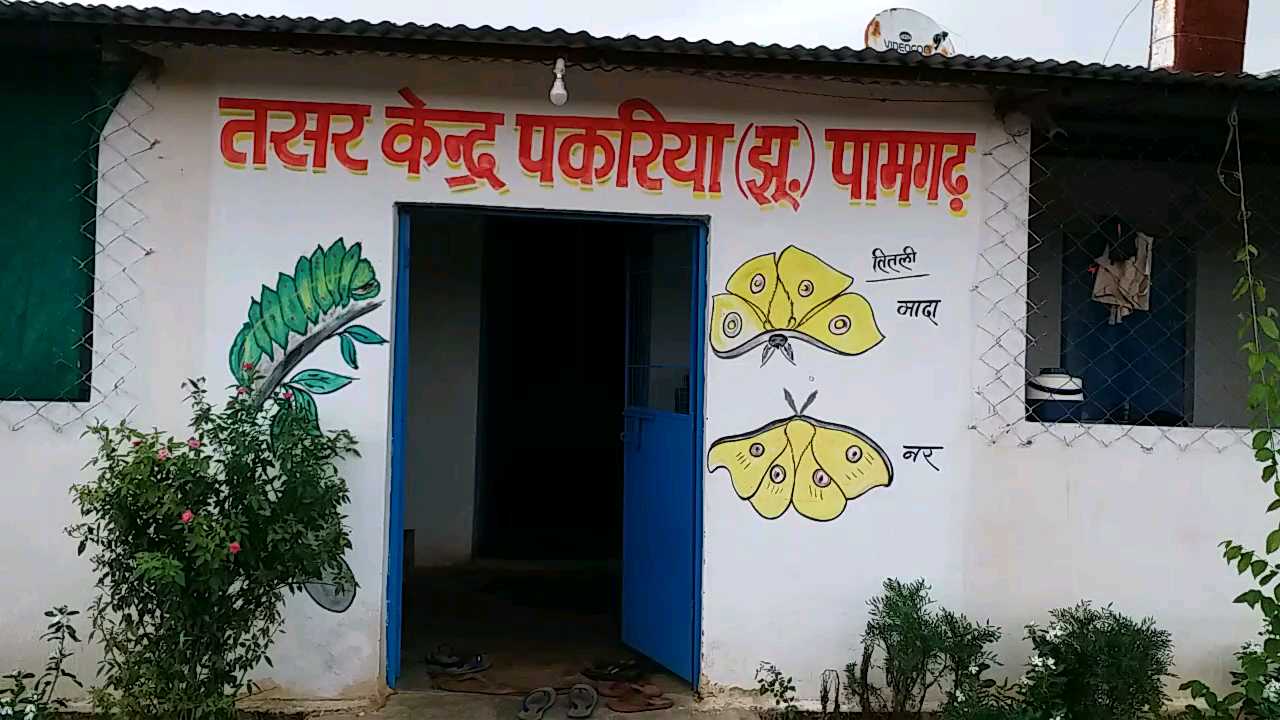 silk production in janjgir champa