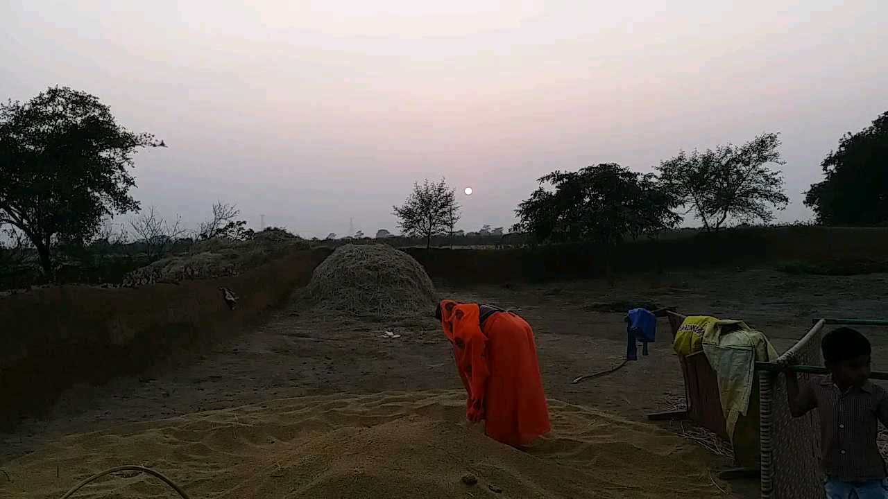 delay in paddy purchase