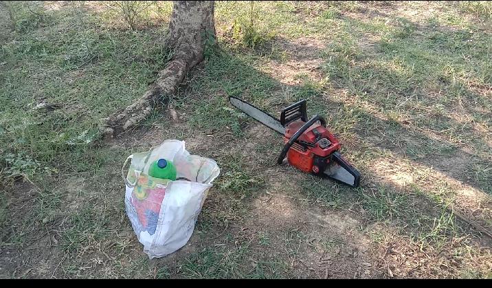 putidih  sarpanch cut down the tree at jajgir champa