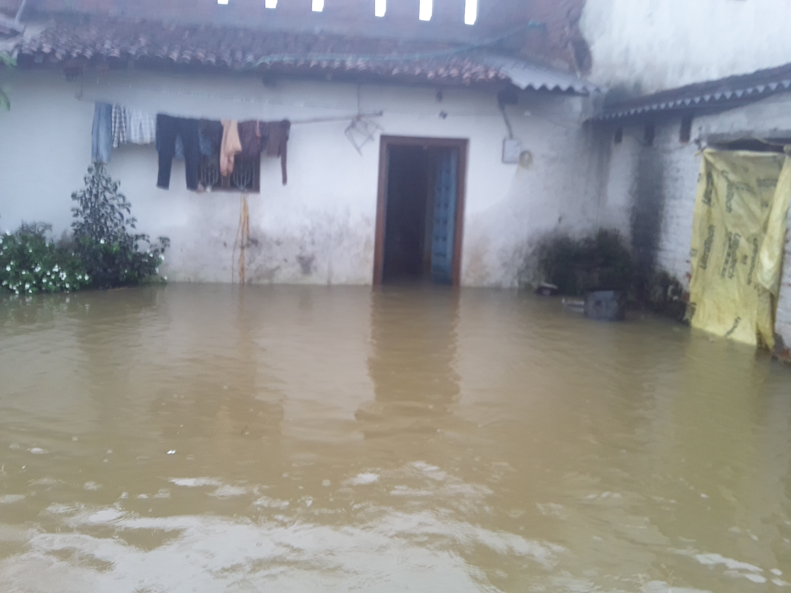 Floods in many villages due to continuous rains in Janjgir Champa