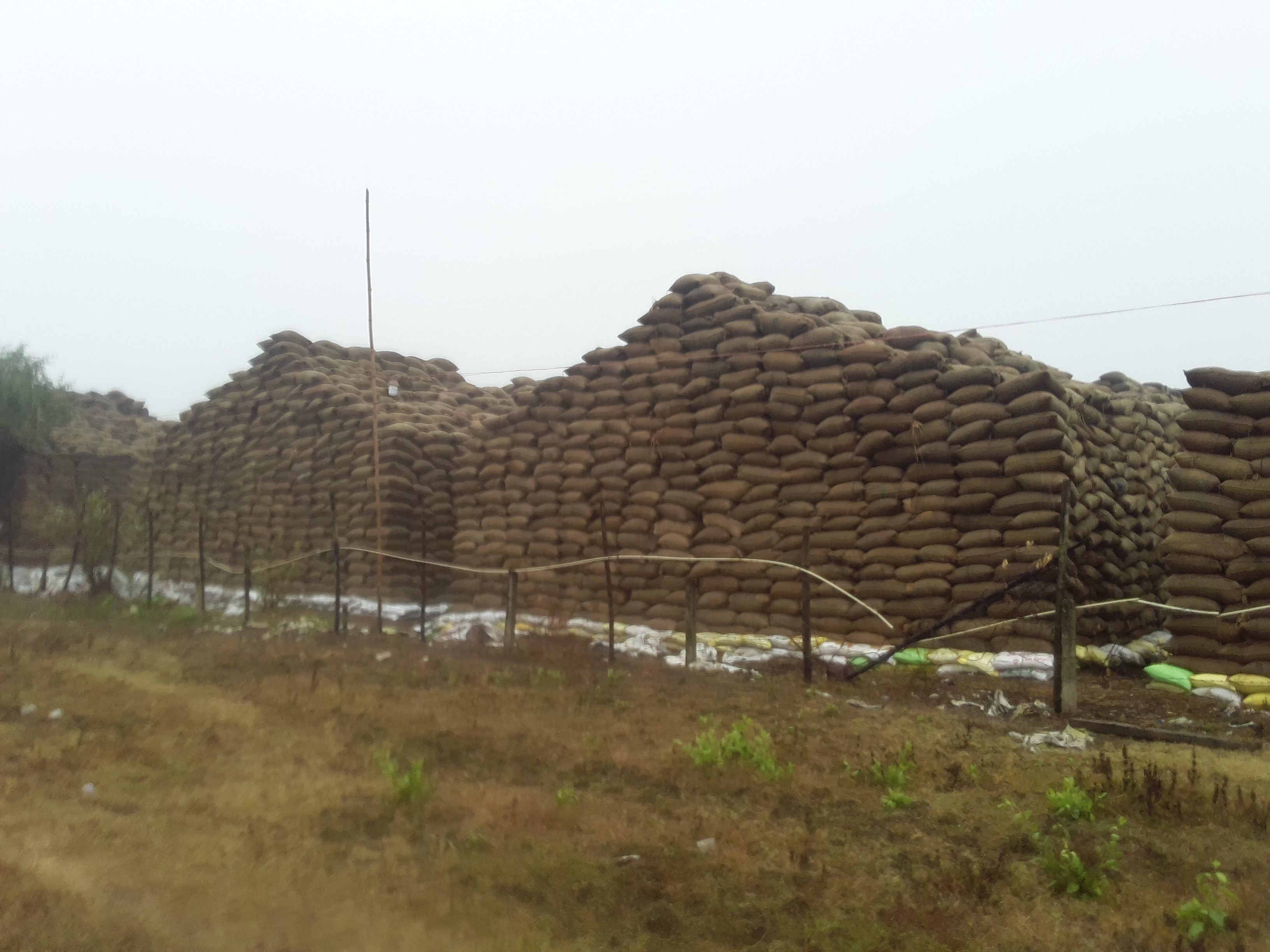 In Paddy Procurement Center OF Janjgir Paddy gets wet due to rain