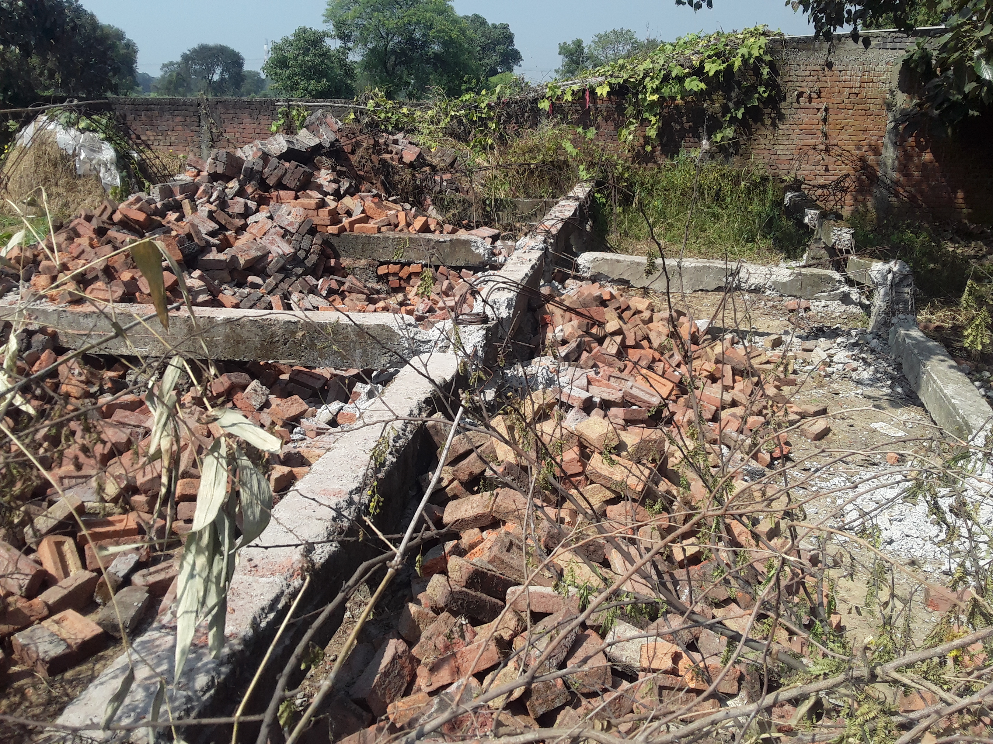 Dabang broke villagers house in Dabhra area of ​​Janjgir