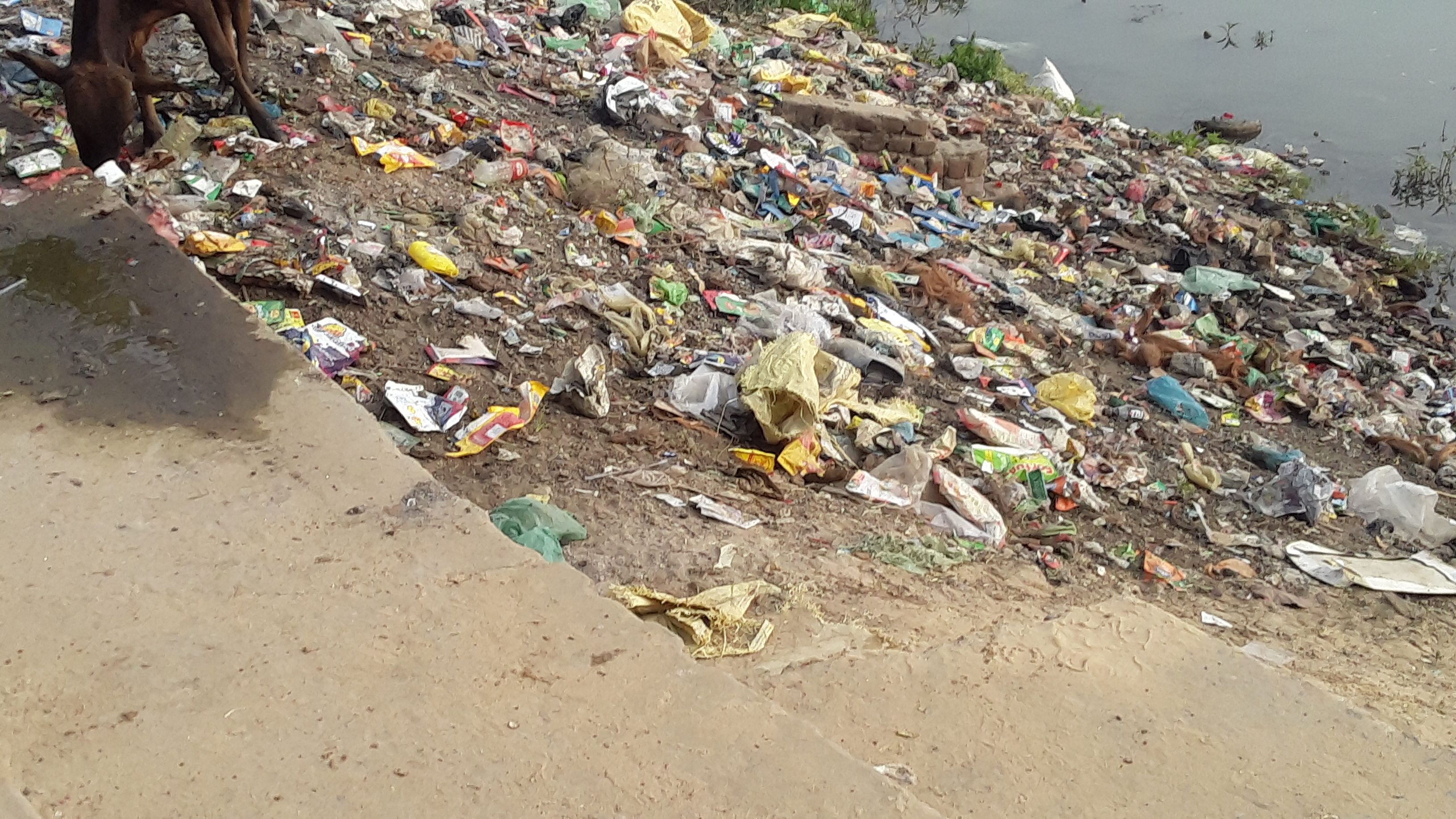 Dirt in the city due to negligence of Chandrapur Nagar Panchayat