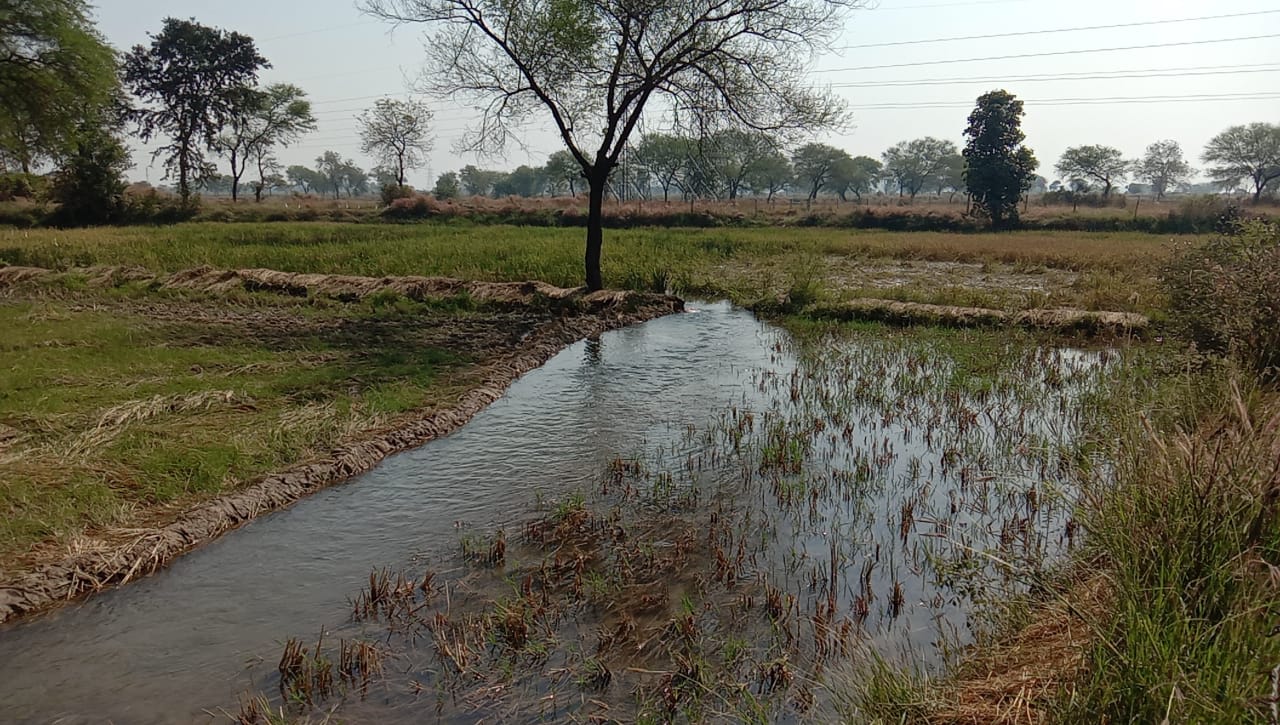 NTPC Lara pipeline burst causing crop failure of farmers fields in janjgir champa