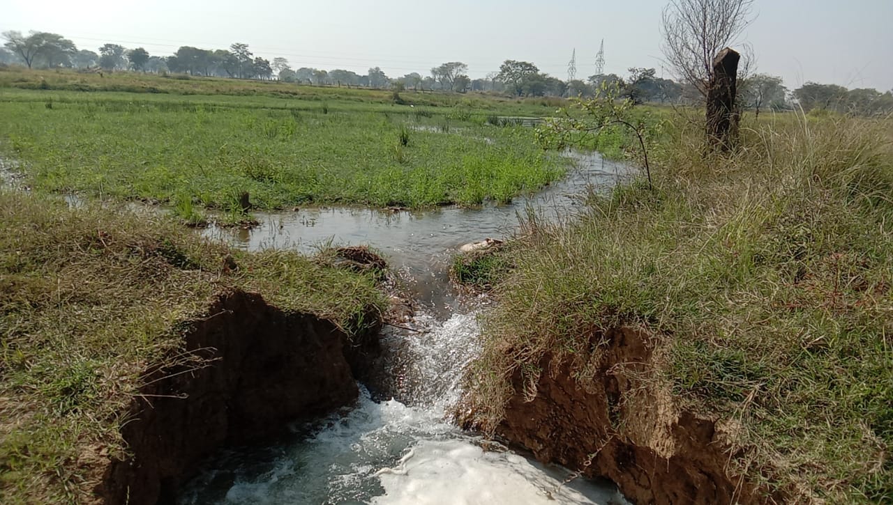 NTPC Lara pipeline burst causing crop failure of farmers fields in janjgir champa