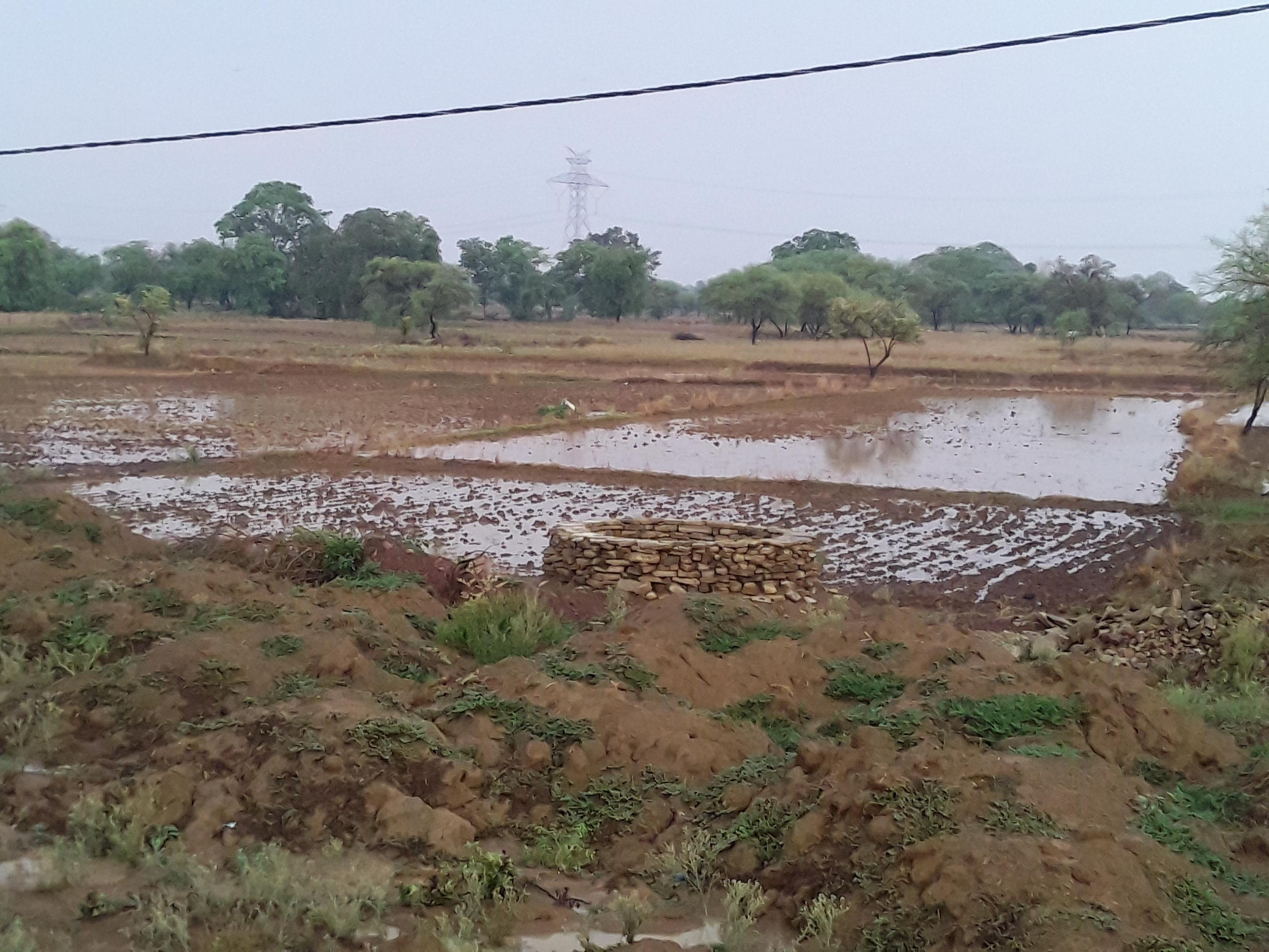 heavy rain fall in janjgir champa