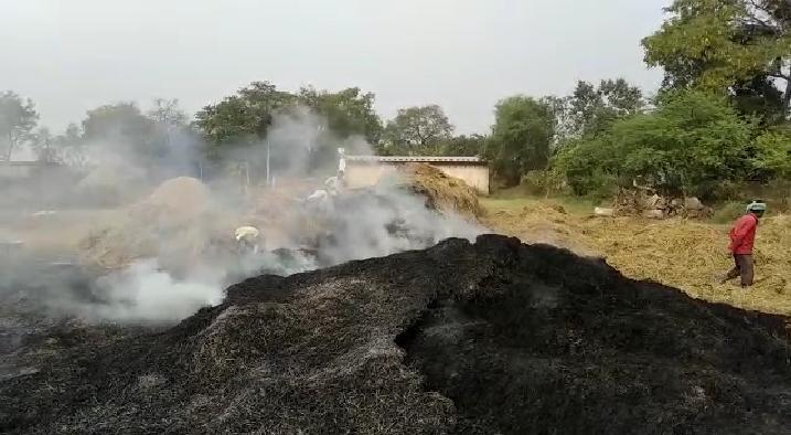 fire in paddy crop