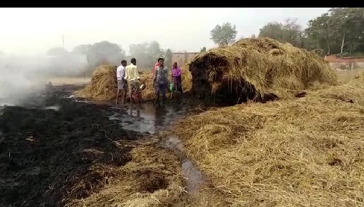 fire in paddy crop