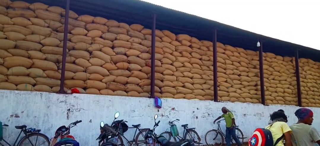 Paddy gathering in procurement centers causes problems for farmers in Jashpur