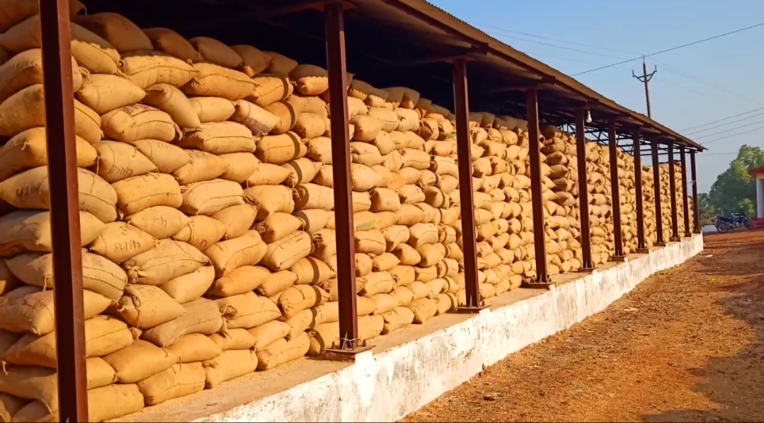 Paddy gathering in procurement centers causes problems for farmers in Jashpur