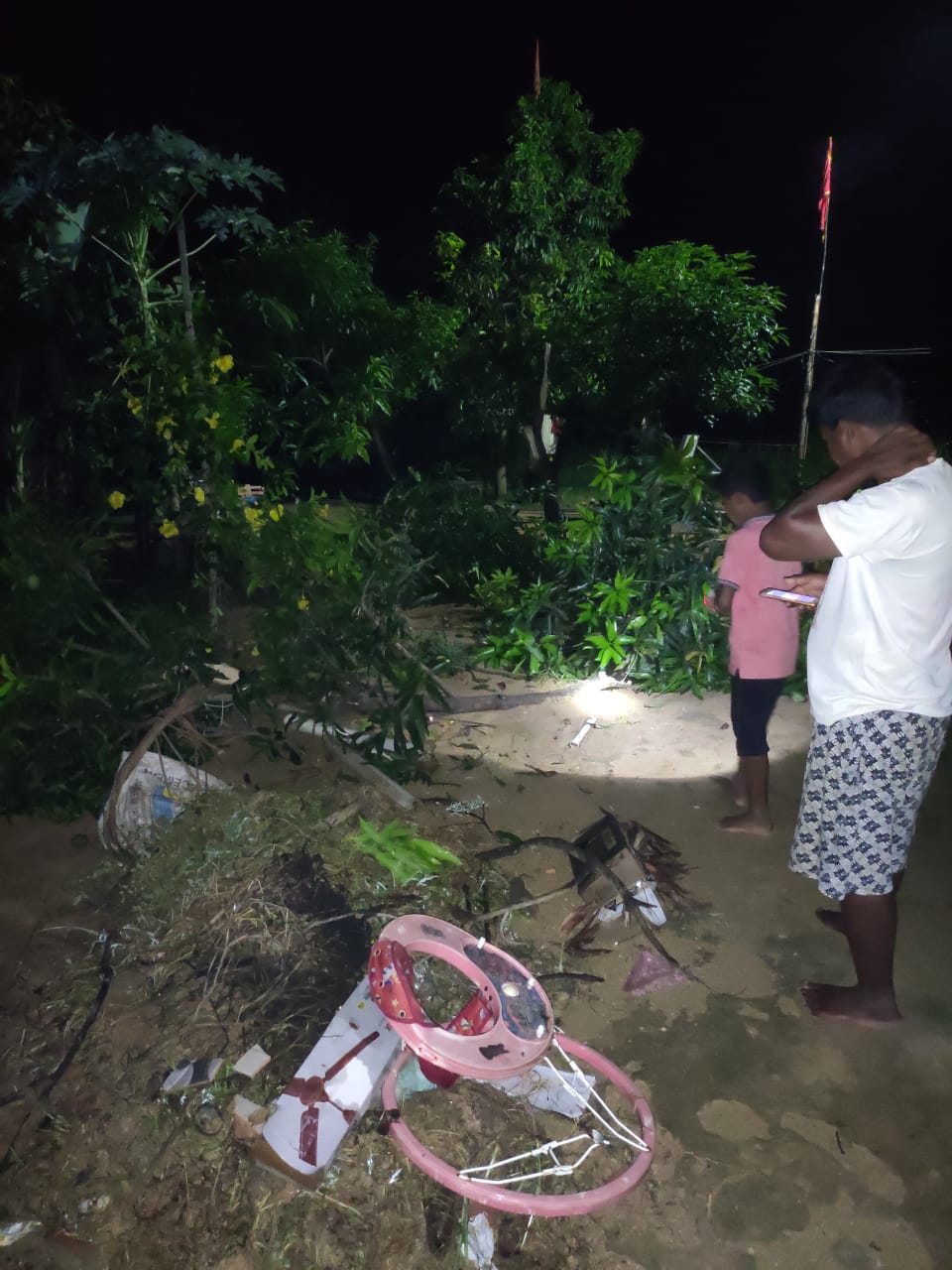 Elephant attacked in house of MP Gomti Sai in jashpur