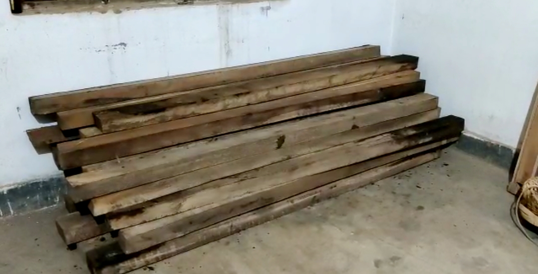 Forest Department seized 80 pieces of illegal wood