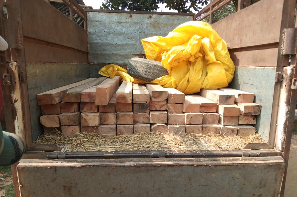 man arrested for smuggling teak wood in jashpur