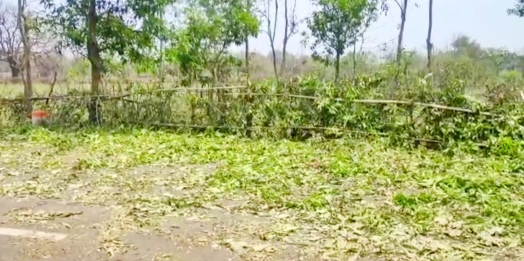 jashpur home destroyed in rain