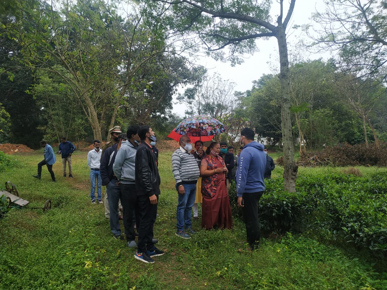 inspection of tea garden in jashpur