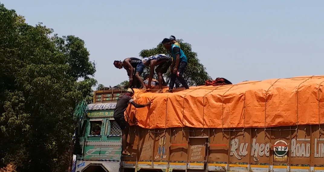 Workers traveling on freight vehicles in an unsafe manner in jashpur