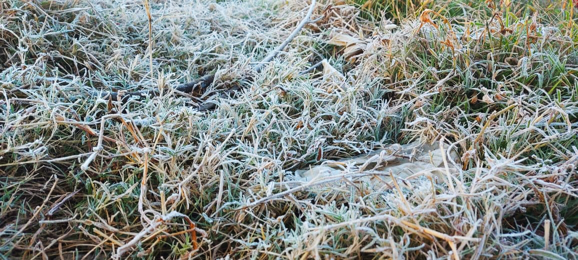 snow fall in jashpur