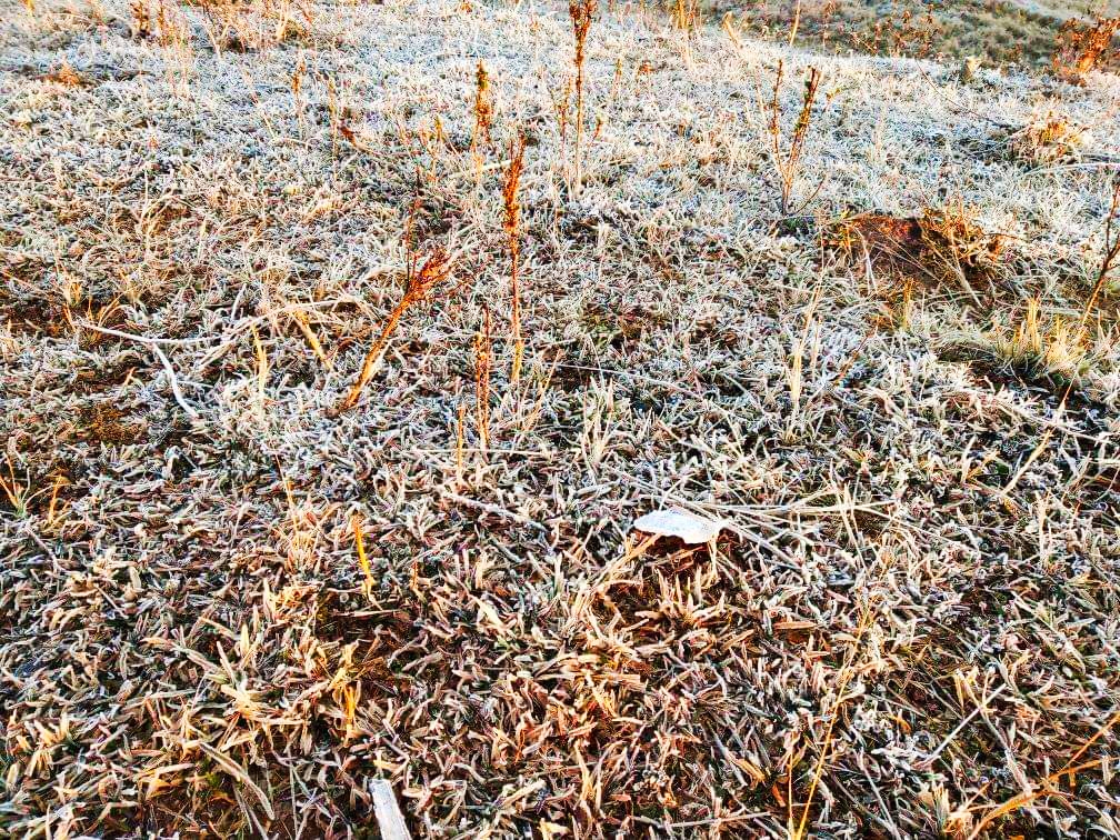 snow fall in jashpur