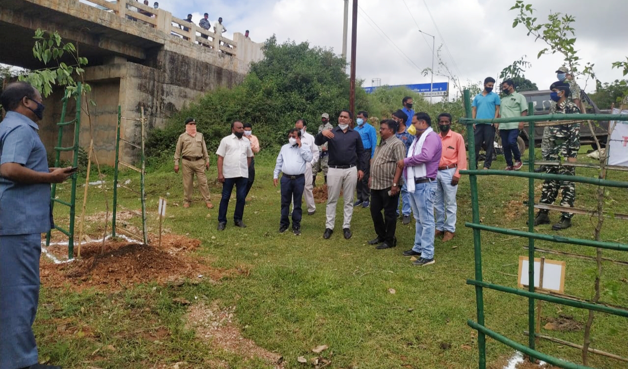 Saplings planted under social forest program