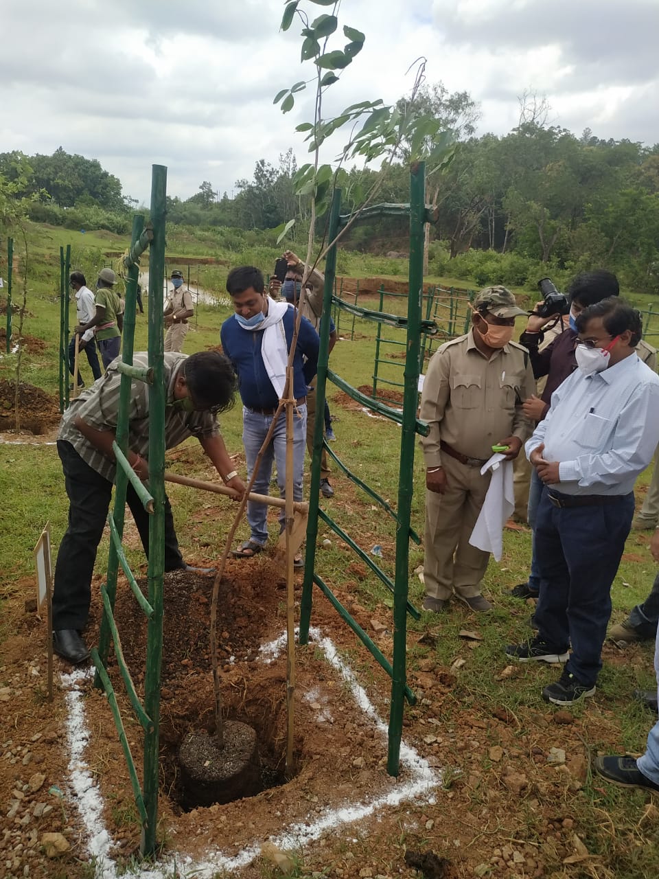 Saplings planted under social forest program