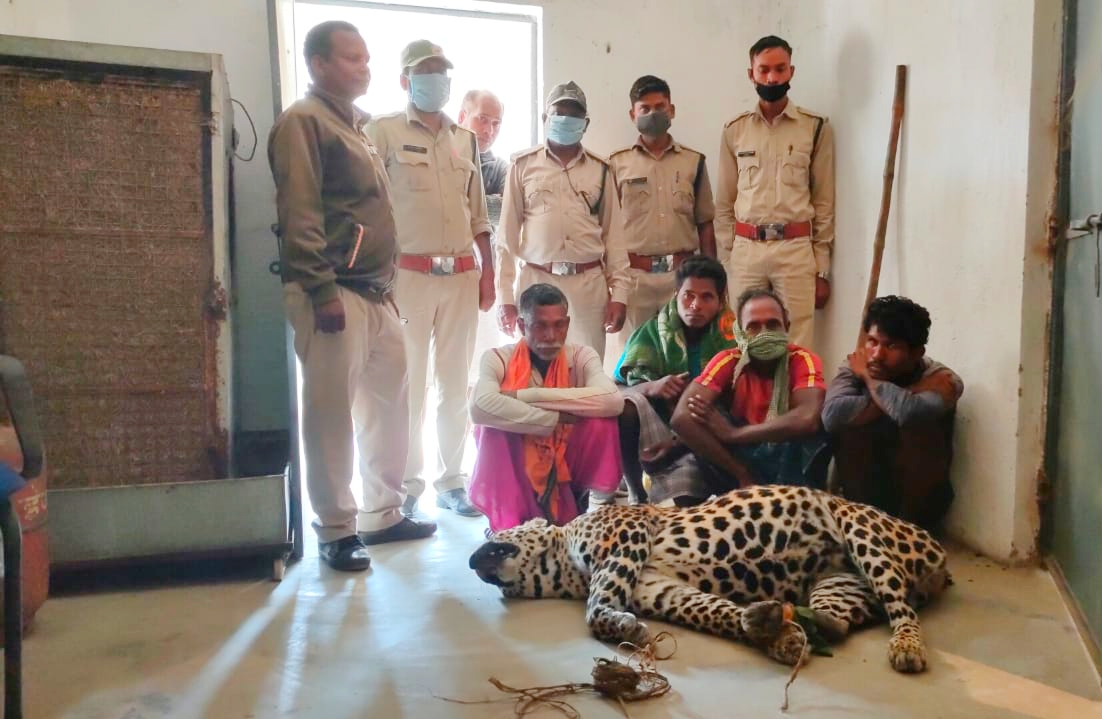 police-arrested-leopard-smuggler-in-jashpur