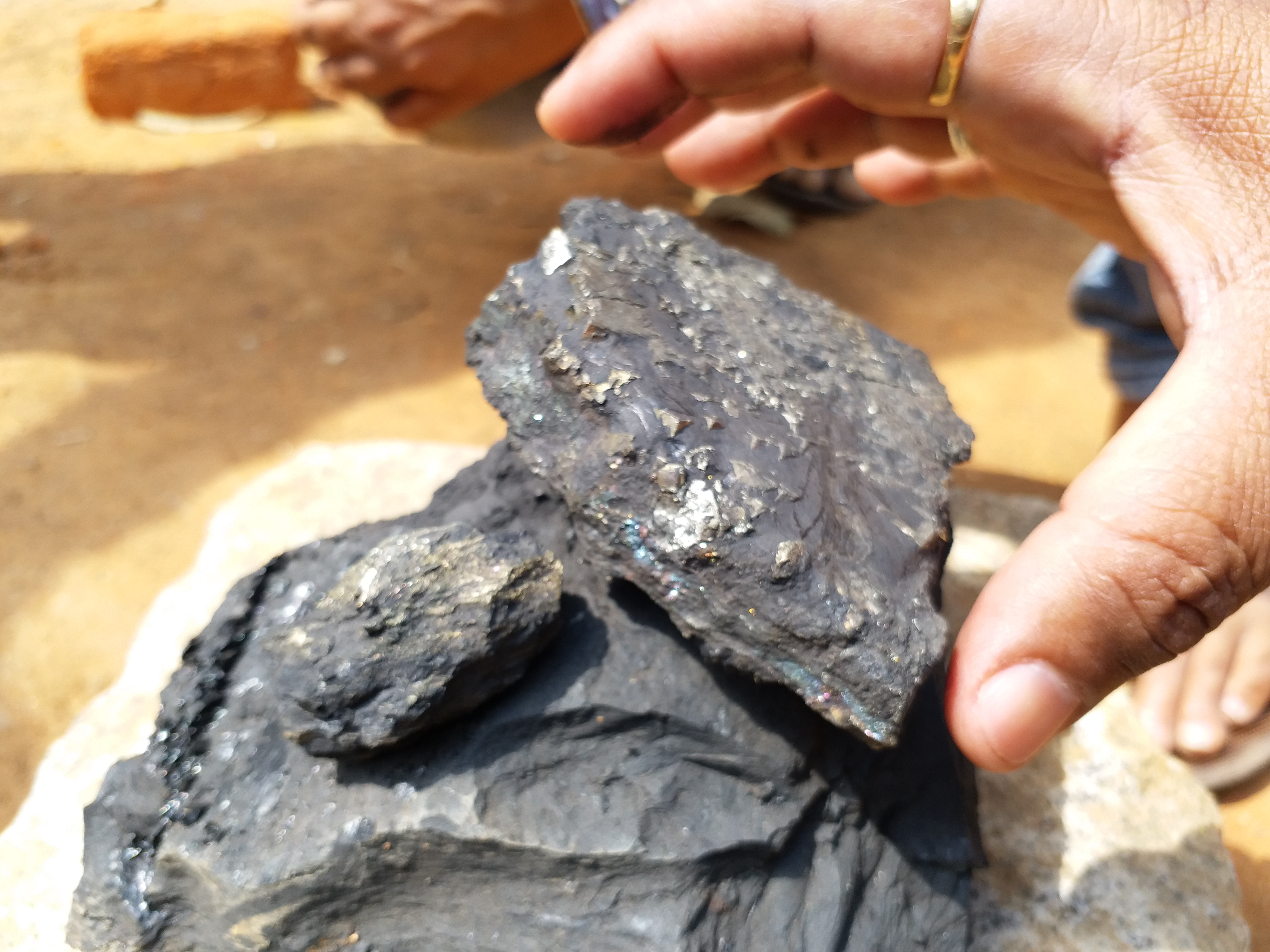 gold found in coal, कोयला में मिला सोना