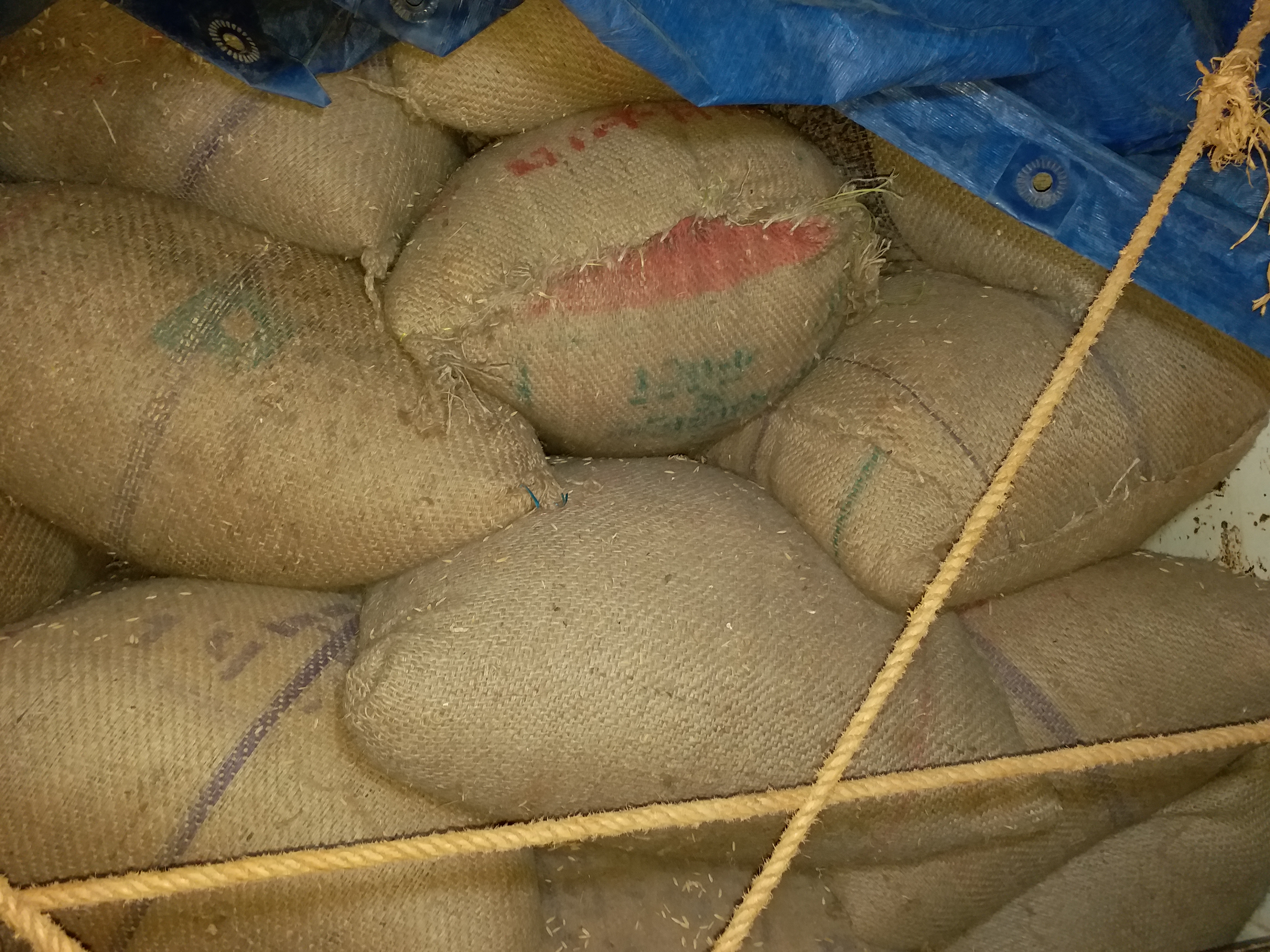 Disclosure of illegal paddy purchase at Manora Paddy Procurement Center in Jashpur