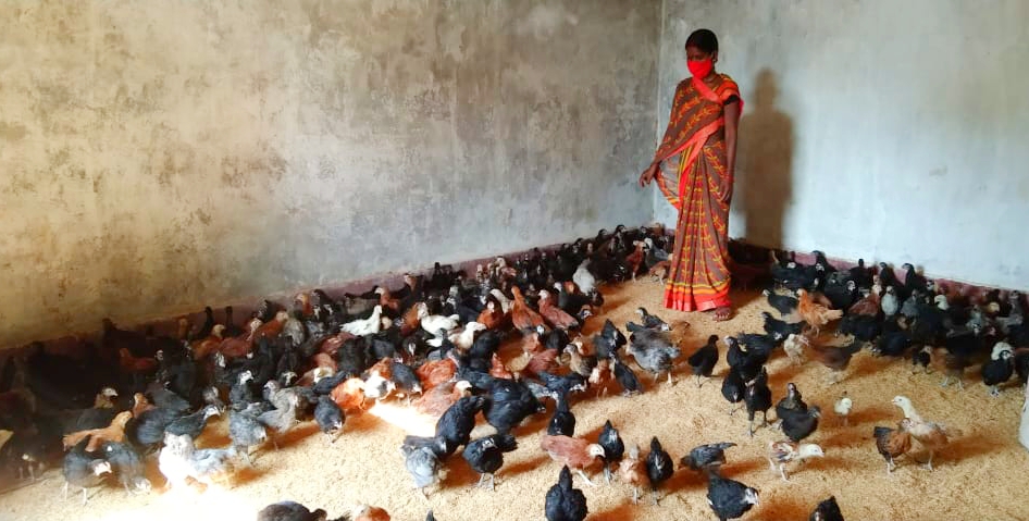 Women are earning money by growing poultry