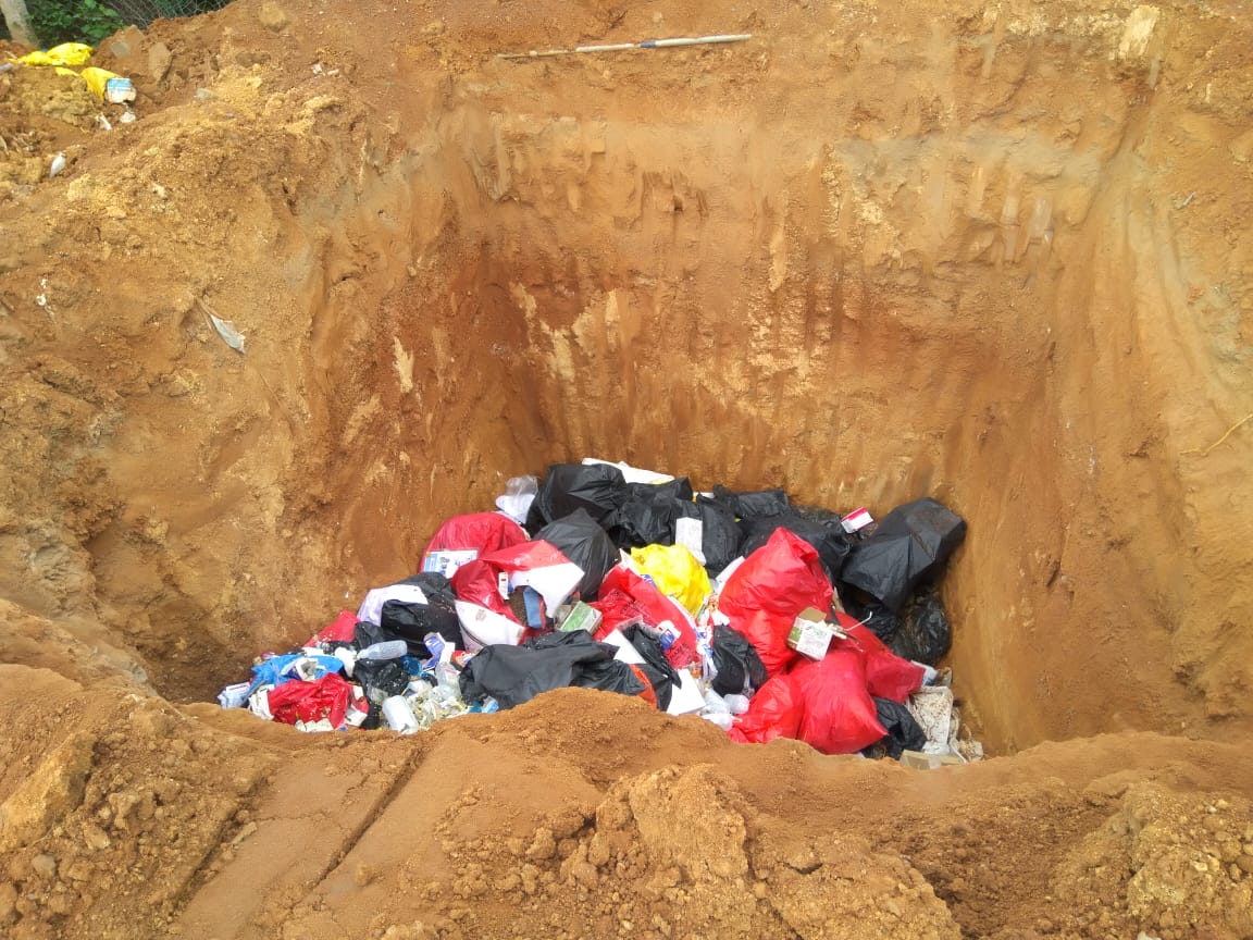 cow was lying in open pit of Medical waste