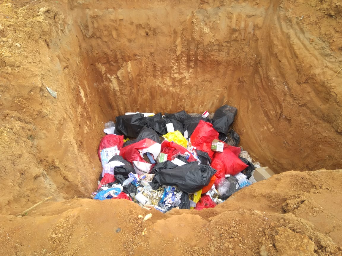 cow was lying in open pit of Medical waste