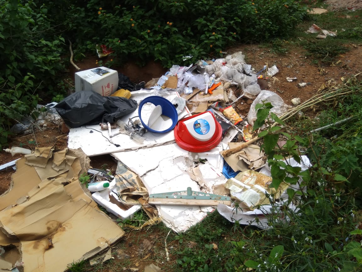 cow was lying in open pit of Medical waste