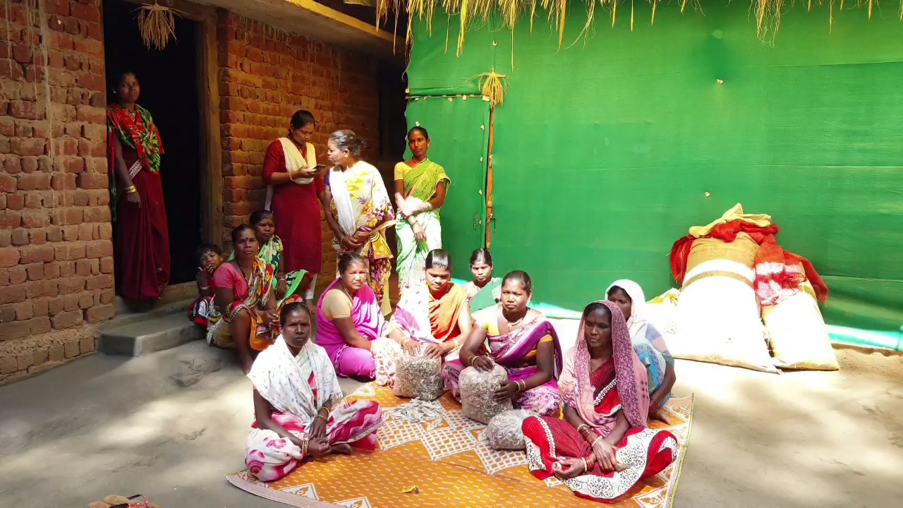 women-becoming-self-sufficient-by-producing-mushrooms-in-kondagaon