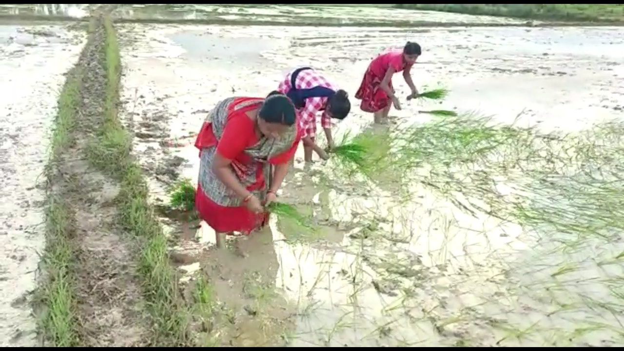 rajya-sabha-mp-phoolo-devi-netam