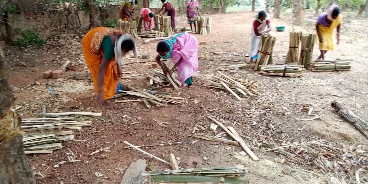 Women of Bihan group make tree guard