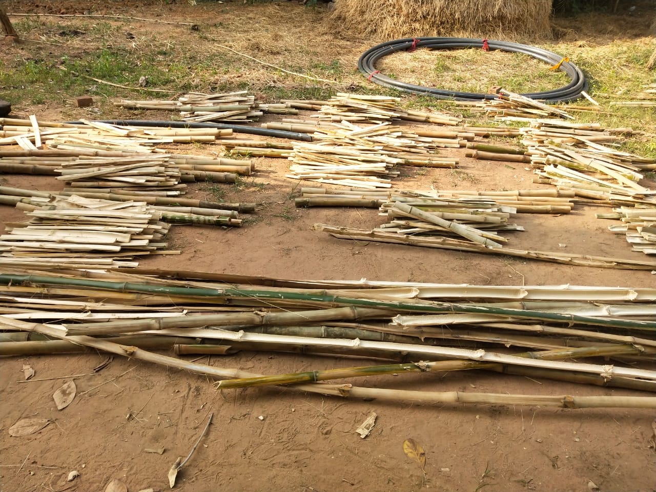 Women of Bihan group make tree guard