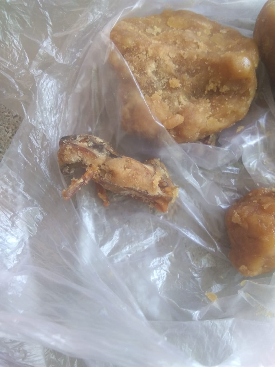 Dead frog found inside jaggery purchased from fair price shop in kanker