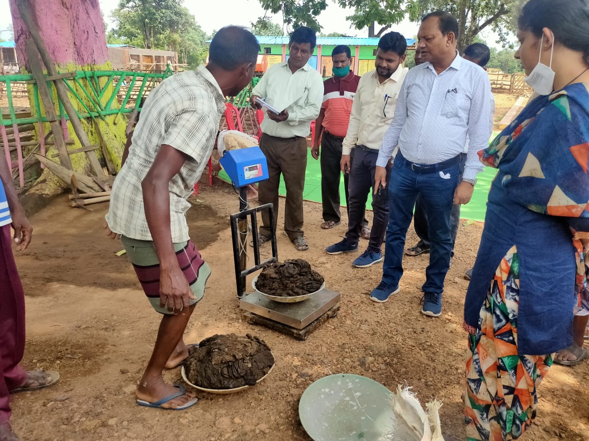 4 thousand 368 quintal cow dung purchased in two days in Kanker