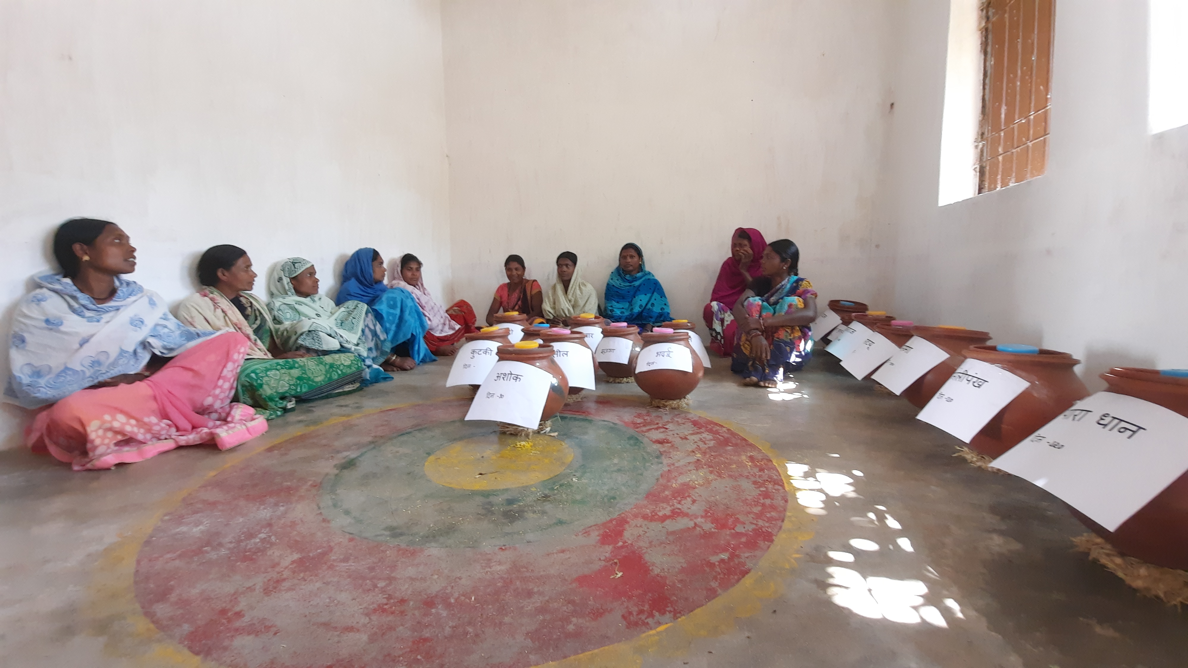 Desi seed bank in Kanker