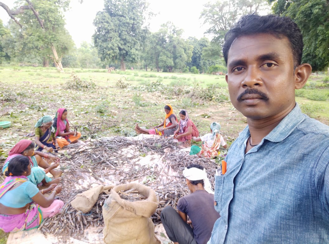 Farmers cultivating lac