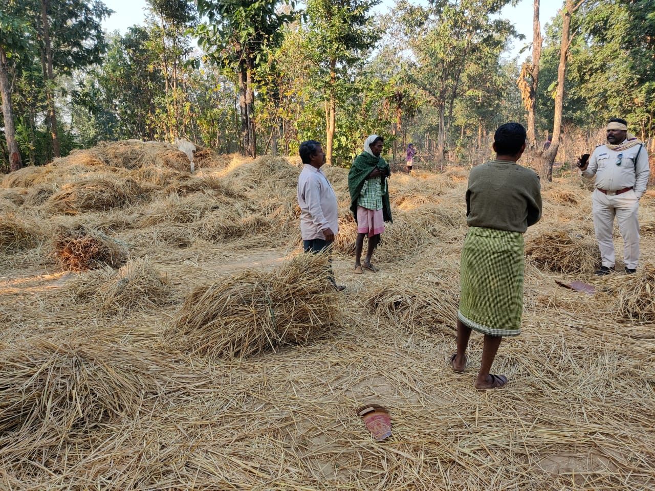 Elephants ate many sacks of paddy in Kanker Charama