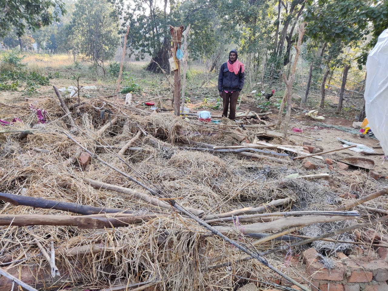 Elephants ate many sacks of paddy in Kanker Charama