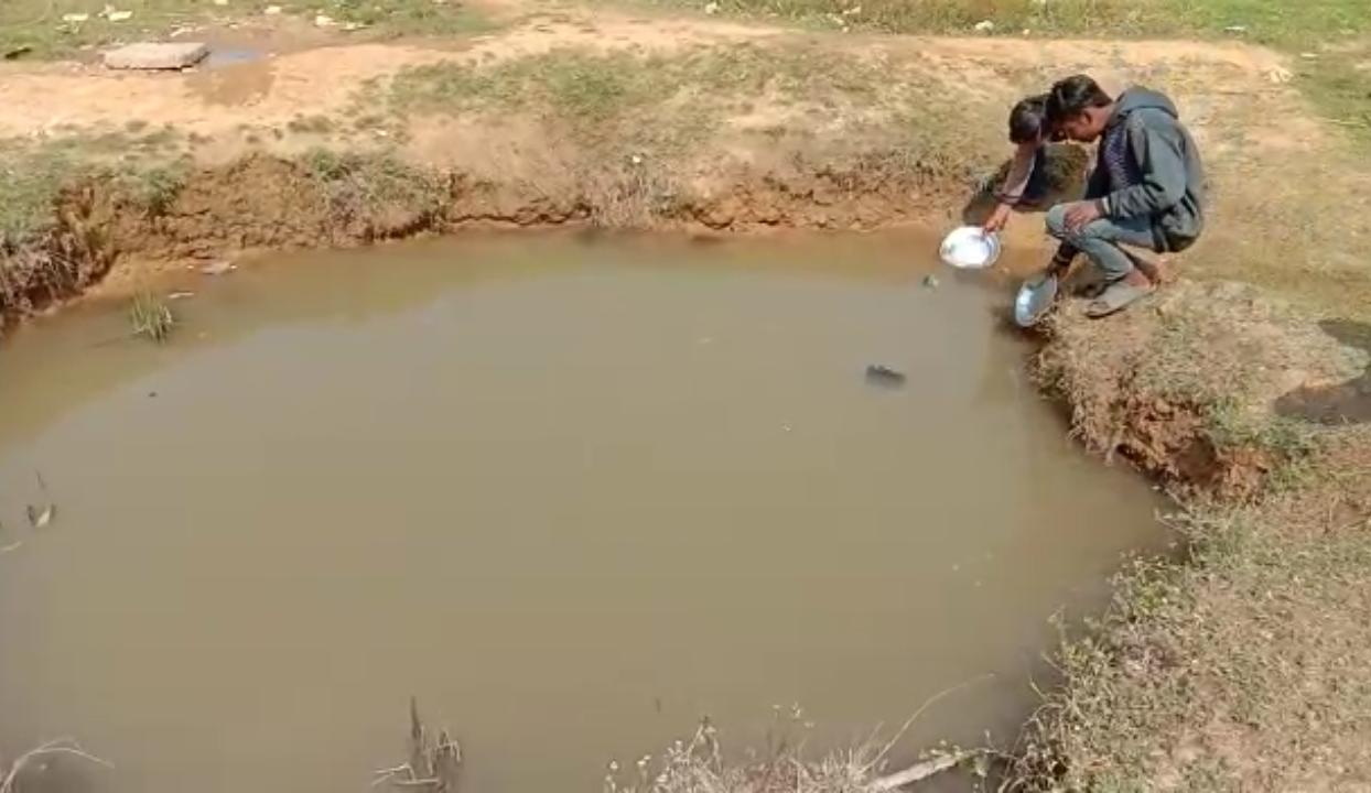 Naunihal washes the plate with dirty water in koriya