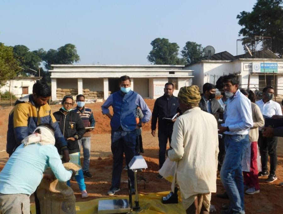 Koriya Collector inquired about purchasing paddy from farmers