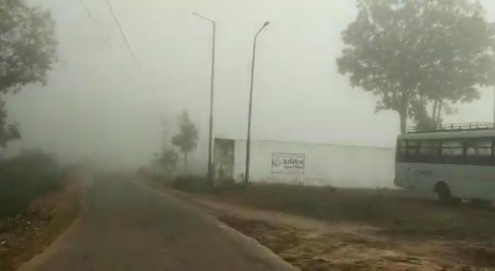 Dense fog and cold in koriya