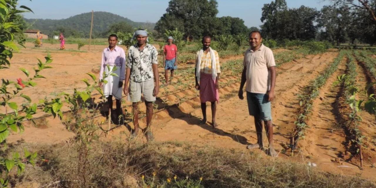 Farmers get financial benefit