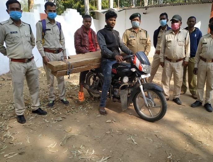 6 accused arrested for smuggling wood in koriya